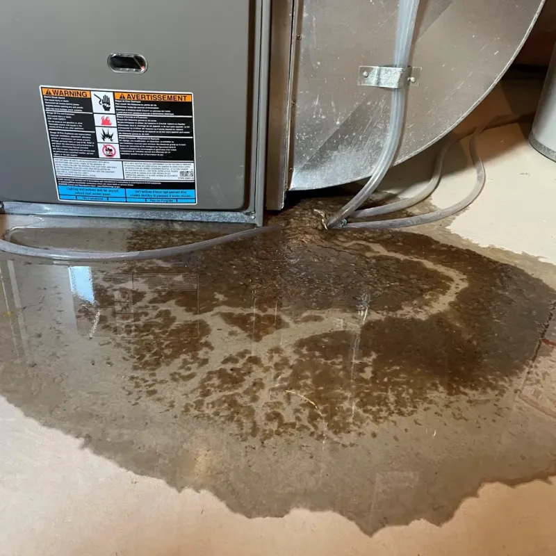 Appliance Leak Cleanup in Madison County, FL